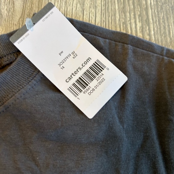 NWT Carter's Gray “Wild One”  Dinosaur Graphic Tee Crewneck Size 14 100% Cotton - Picture 2 of 3
